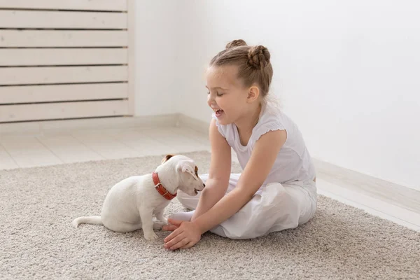 People, pets and animal concept - Little girl sitting on the floor over white background and holding puppy Jack Russell Terrier
