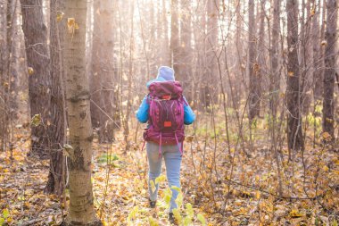 İnsanlar ve doğa kavramı-Gezgin kadın arkadan görünüm ormanda yürüyüş