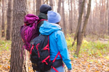 İnsanlar, yürüyüş, turizm ve doğa kavramı - sonbahar ormanda hiking kaç turist arkadan görünüm