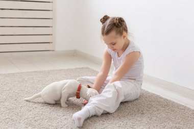 insanlar, çocuk ve pets kavramı - sevimli köpek ve iskambil ile katta oturan küçük çocuk kız