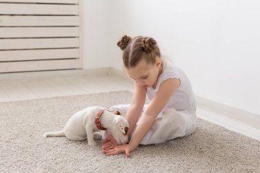 insanlar, çocuk ve pets kavramı - sevimli köpek ve iskambil ile katta oturan küçük çocuk kız