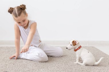 Çocuk, Evcil hayvan ve hayvan kavramı - kız çocuk oynamak Jack Russell Terrier köpek ile kapalı