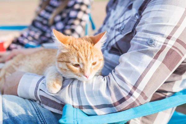 사람, 관광 및 자연 개념-남자 지주 고양이 자연에 가까이 — 스톡 사진