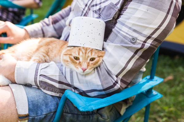 사람, 관광 및 자연 개념-성격에 재미 있는 고양이 들고 남자 — 스톡 사진
