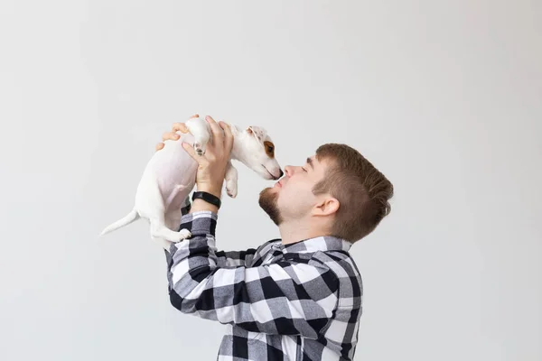 La gente y el concepto de mascotas - Primer plano retrato de gato russell terrier cachorro sentado en las manos del hombre — Foto de Stock