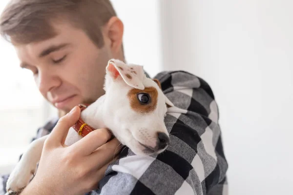 Menschen, Haustiere und Tiere Konzept - Nahaufnahme eines jungen Mannes umarmt Jack Russell Terrier Welpen auf weißem Hintergrund — Stockfoto