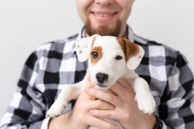 insanlar, Evcil hayvanlar ve hayvanlar kavramı - yakın yukarıya-in genç adam tutarak jack russell terrier yavru beyaz arka plan üzerinde