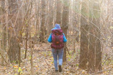İnsanlar ve doğa kavramı-Gezgin kadın arkadan görünüm ormanda yürüyüş