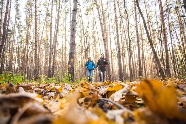 Aventure, voyage, tourisme, randonnée et concept de personnes - couple souriant marchant avec des sacs à dos sur fond naturel d'automne — Photo