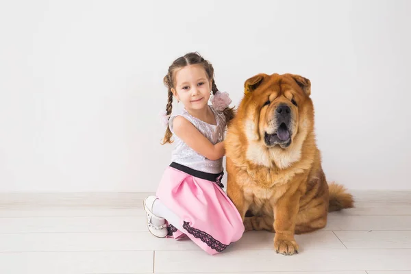 Husdjur, barn och vänskap koncept - liten flicka kramar hennes hund chow-chow över vit bakgrund — Stockfoto
