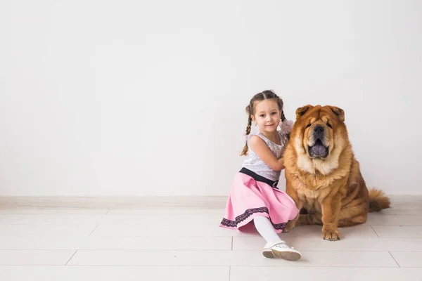 Husdjur, barn och vänskap koncept - liten flicka kramar hennes hund chow-chow över vit bakgrund med kopia utrymme — Stockfoto