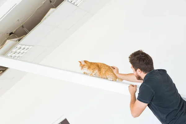 사람, 혁신, 애완 동물 및 수리 개념-redecoration 아파트에서 고양이 함께 재미 있는 남자의 초상화 — 스톡 사진