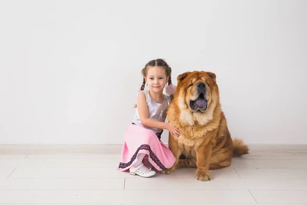 Concepto de personas, animales y niños - niña con perro jengibre de chow-chow sobre fondo blanco — Foto de Stock