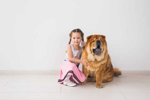 people, animals and children concept - girl with ginger dog of chow-chow on white background