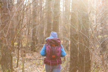 İnsanlar ve doğa kavramı-Gezgin kadın arkadan görünüm ormanda yürüyüş