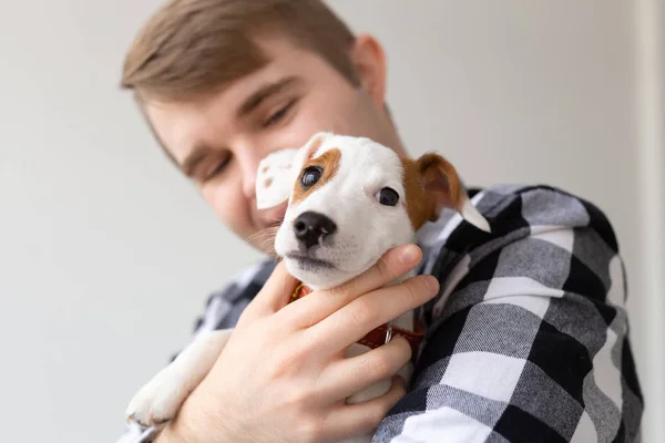 Concepto de personas, mascotas y animales - primer plano de hombre joven sosteniendo gato russell terrier cachorro — Foto de Stock