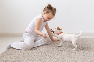 İnsanlar, Evcil hayvan ve hayvan kavramı - beyaz arka plan ve holding köpek yavrusu Jack Russell Terrier üzerinde katta oturan küçük kız