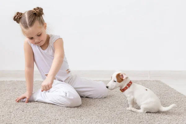 Children, pets and animal concept - Child girl play with her Jack Russell Terrier puppy indoors — Stock Photo, Image