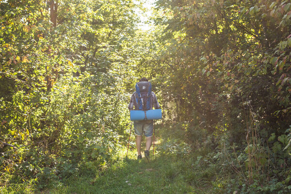Hike, tourism and nature concept - Young traveler with backpack standing over forest background