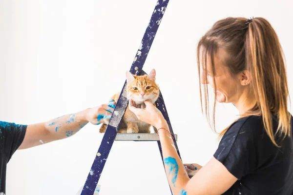 Jonge vrouw kunstschilder, ontwerper en werknemer schildert de muur. De kat zit volgende op de ladder en kijkt naar het werk. — Stockfoto