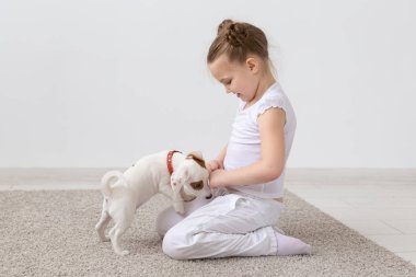 Evcil hayvan ve hayvan kavramı - Jack Russell Terrier köpekle oynayan kız çocuk