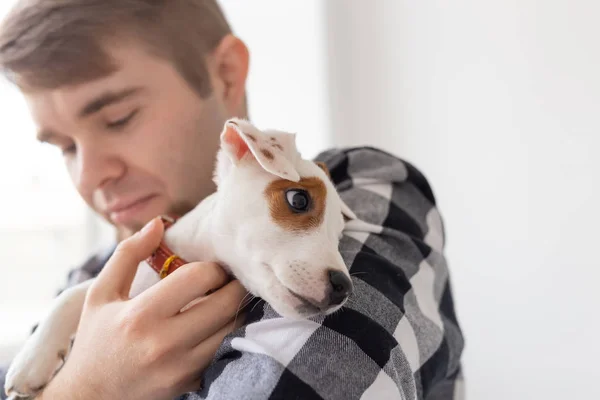 Concepto de personas, mascotas y animales - primer plano de hombre joven sosteniendo gato russell terrier cachorro — Foto de Stock