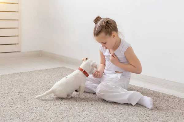 Conceito de crianças e animais - Menina e filhote de cachorro vestidos com pijama sentado no chão — Fotografia de Stock