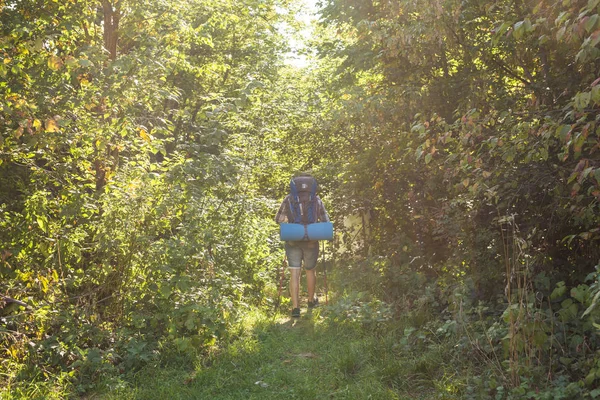 Mensen, wandeling, toerisme en natuur concept - Man in het bos — Stockfoto