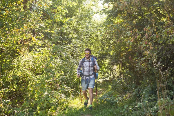 사람, 하이킹, 관광 및 자연 개념-숲에서 남자 — 스톡 사진