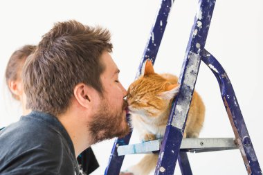 Kişi, yenileme, evde beslenen hayvan ve onarım kavramı - kedi evinde tadilat yapıyor ile komik adam portresi