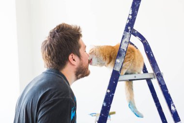 Kişi, yenileme, evde beslenen hayvan ve onarım kavramı - kedi evinde tadilat yapıyor ile komik adam portresi