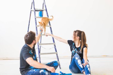 Evde beslenen hayvan, tadilat ve ilişki kavramı - yeni Daire Tadilat yapıyor kedi ile genç komik çift