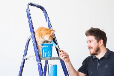 Yenileme, tadilat ve aile kavramı - genç komik adam ve bir kedi evinde tadilat sırasında