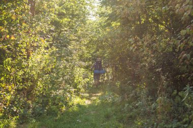 Yürüyüş, turizm ve doğa konsepti -Sırt çantası ile genç gezgin orman arka plan üzerinde duran