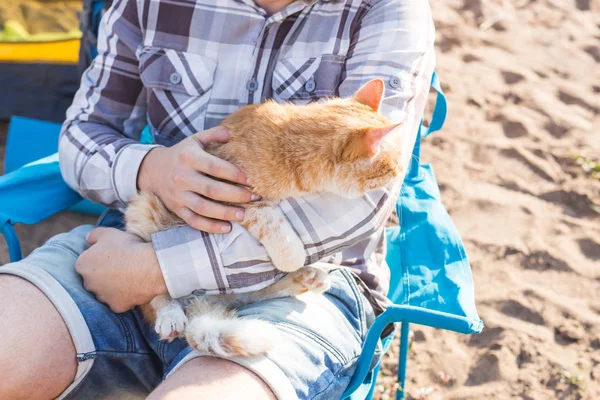 사람, 관광 및 자연 개념-남자 지주 고양이 자연에 가까이 — 스톡 사진