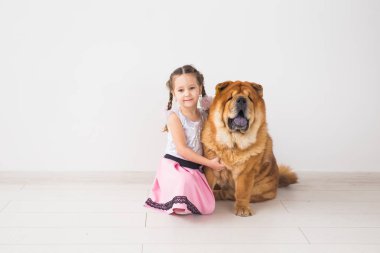 insanlar, hayvanlar ve çocuklar kavramı - beyaz arka plan üzerinde uyumak kızıl köpek ile kız