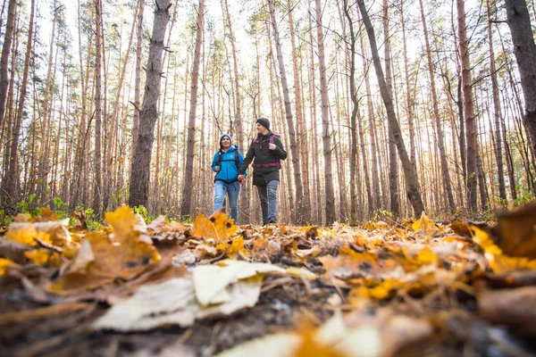 Aventure, voyage, tourisme, randonnée et concept de personnes - jeune couple avec sacs à dos dans la forêt — Photo