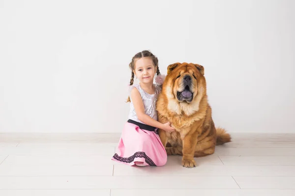 people, animals and children concept - girl with ginger dog of chow-chow on white background