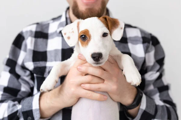 Люди, домашние животные и животные концепция - крупным планом молодой человек держа Джек Рассел терьер щенок на белом фоне — стоковое фото