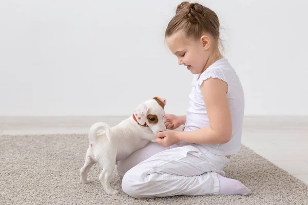 Hayvanlar, çocuklar ve Evcil hayvan kavramı-küçük çocuk kız sevimli köpek yavrusu ve oyun ile yerde oturuyor — Stok fotoğraf