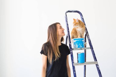 Yenileme, yeniden dekorasyon ve aile konsepti - Genç kadın dairede yenileme sırasında bir kedi okşayarak