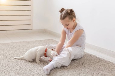 insanlar, çocuk ve pets kavramı - sevimli köpek ve iskambil ile katta oturan küçük çocuk kız