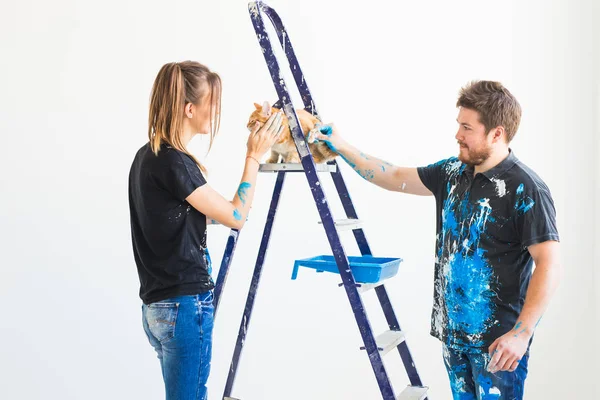 Rénovation, redécoration et concept familial - Jeune homme et femme caressant un chat lors d'une rénovation dans un appartement — Photo