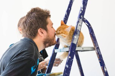 Onarım, tadilat, evde beslenen hayvan ve sevgi çift kavramı - onarım ve boya duvarlar kedi ile genç adam