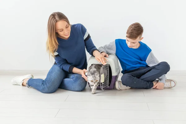 La madre y el hijo positivos y guapos lanzan su hermoso gato Fold escocés gris a su nuevo apartamento después de la mudanza. Concepto de inauguración . — Foto de Stock