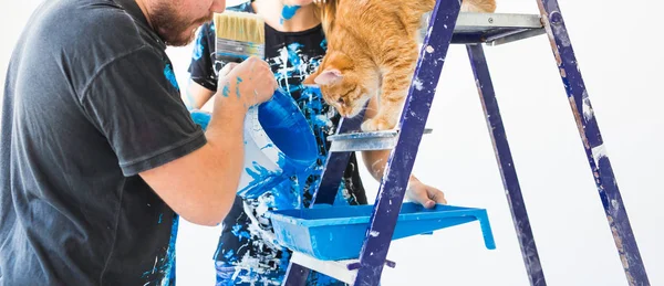 Reparatie, kleur, mensen concept-paar met kat gaan om te schilderen van de muur, ze zijn de voorbereiding van de kleur — Stockfoto