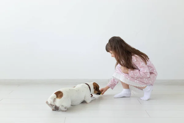 Niña alegre en un vestido azul jugando con su amado perro Jack Russell Terrier. Concepto de amistad de niños y perros. Espacio publicitario — Foto de Stock