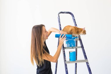 Yenileme, yeniden dekorasyon ve aile konsepti - Genç kadın dairede yenileme sırasında bir kedi okşayarak