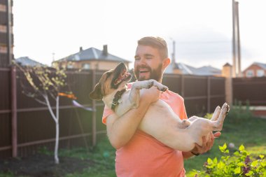 Adam elleri onun güzel jack russell terrier köpek tutarak.