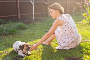 Onu Jack Russell Terrier köpek ile genç kadın dışarıda çim üzerinde oynuyor